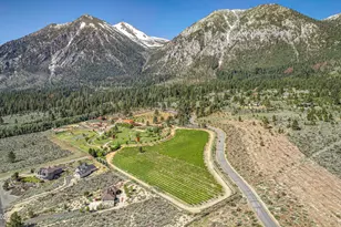 301 Five Creek Rd, Gardnerville, NV 89460 - Photo 4