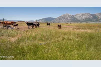 1225 Highway 88, Gardnerville, NV 89460 - Photo 8