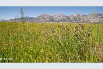 1225 Highway 88, Gardnerville, NV 89460 - Photo 14