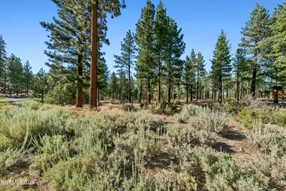 238 Redding Way, Indian Hills, NV 89705 - Photo 2