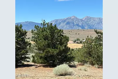 1515 Patrick Court, Gardnerville, NV 89410 - Photo 58