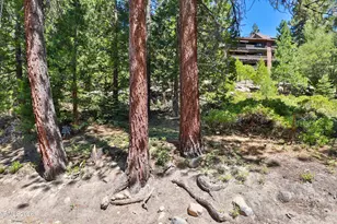 321 Ski Way, Incline Village, NV 89451 - Photo 12