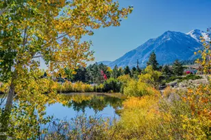 285 Sierra Country Cir, Gardnerville, NV 89460 - Photo 46