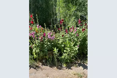 834 W Bridge Street, Yerington, NV 89447 - Photo 10