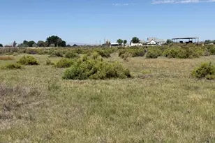 2195 Old River Rd, Fallon, NV 89406 - Photo 38