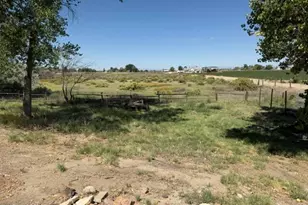 2195 Old River Rd, Fallon, NV 89406 - Photo 30