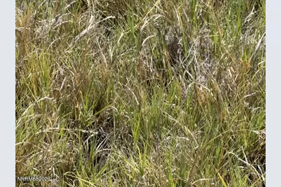 2195 Old River Road, Fallon, NV 89406 - Photo 34