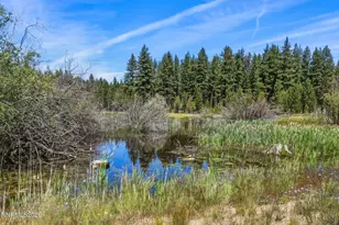 46 Beach Club Dr, Stateline, NV 89449 - Photo 34