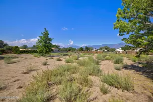 2724 Stewart Ave, Minden, NV 89423 - Photo 22