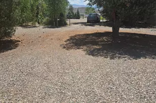 3840 Granite Way, Wellington, NV 89444 - Photo 34