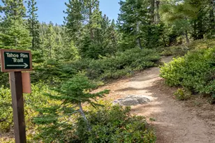 155 Tramway Dr, Stateline, NV 89449 - Photo 26