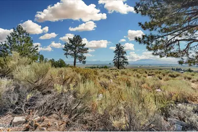 1211 Quail Ridge Road, Gardnerville, NV 89460 - Photo 14