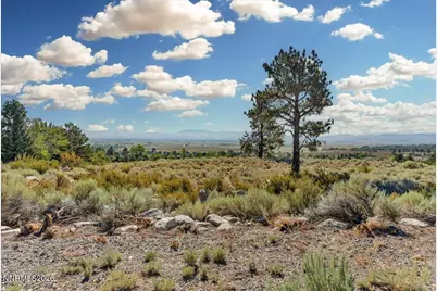 1211 Quail Ridge Road, Gardnerville, NV 89460 - Photo 18