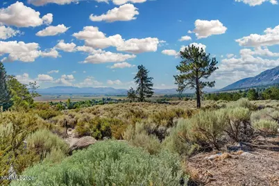 1211 Quail Ridge Road, Gardnerville, NV 89460 - Photo 12