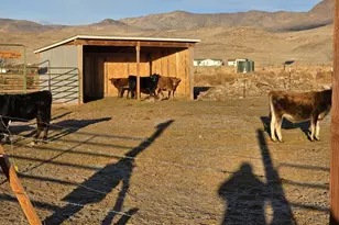 9705 Iroquois Trail, Stagecoach, NV 89429 - Photo 46