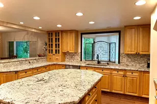 1616 Belarra Dr, Minden, NV 89423 - Photo 28