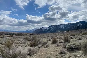 301 Adams Ranch Rd, Genoa, NV 89411 - Photo 1