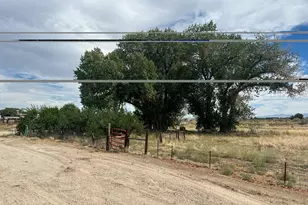 6975 Cox Rd, Fallon, NV 89406 - Photo 10