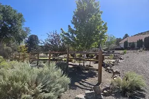 3715 Ballman Way, Wellington, NV 89444 - Photo 18