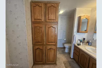 3715 Ballman Way, Wellington, NV 89444 - Photo 24
