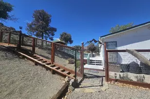 3715 Ballman Way, Wellington, NV 89444 - Photo 4