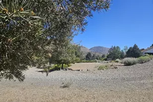 3715 Ballman Way, Wellington, NV 89444 - Photo 16