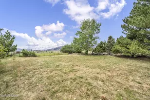 100 Burke Dr, Wellington, NV 89444 - Photo 56