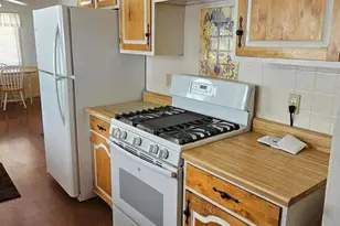124 Del Dr, Kingston, NV 89310 - Photo 10