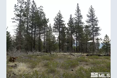 0 Kings Canyon Road, Carson City, NV 89703 - Photo 8