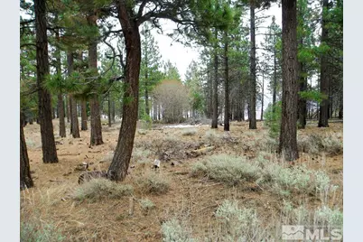 0 Kings Canyon Road, Carson City, NV 89703 - Photo 10