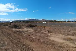 3590 S Hwy 95A, Silver Springs, NV 89429 - Photo 1