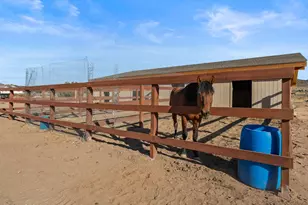 1275 Antelope Valley Rd, Reno, NV 89508 - Photo 104