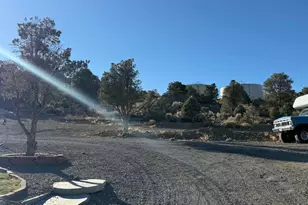 3900 Mica Ct, Wellington, NV 89444 - Photo 12