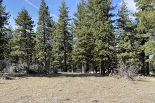 4300 Meadow Wood, Carson City, NV 89703 - Photo 1