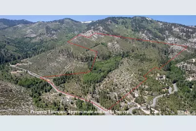 7805 Musgrove Creek Drive, Washoe Valley, NV 89704 - Photo 1