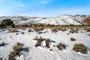 1534 Bolton Loop, Gardnerville, NV 89410 - Photo 1