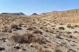 00396001 Trinity Range, Lovelock, NV 89419 - Photo 1