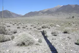 105 Tonkin Ct, Kingston, NV 89310 - Photo 1