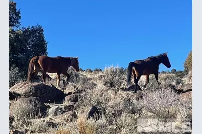 40S Sw4Nw4-S16/18N/21E, Virginia City, NV 89521 - Photo 1