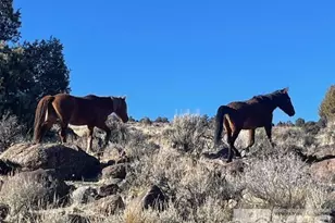 40S Sw4Nw4-S16/18N/21E, Virginia City, NV 89521 - Photo 1