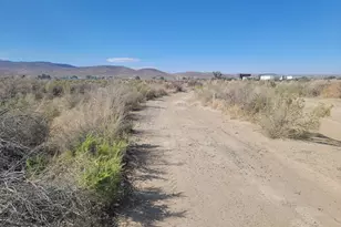 3670 S Hwy 95A, Silver Springs, NV 89429 - Photo 1