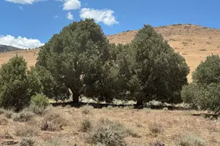 1400 Breccia Rd, Gardnerville, NV 89444 - Photo 1