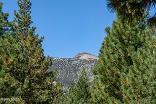 1350 Douglas Fir Dr, Reno, NV 89511 - Photo 1