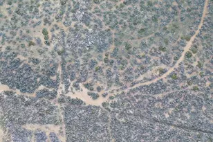 16100 Rocky Vista Rd, Reno, NV 89521 - Photo 1