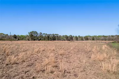 Na Kickapoo Road, Groveton, TX 75845 - Photo 4