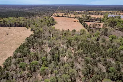 Na Kickapoo Road, Groveton, TX 75845 - Photo 6