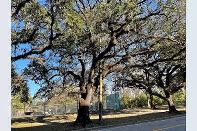 2727 Houston Avenue Avenue #302, Houston, TX 77009 - Photo 28
