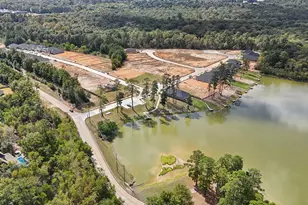 223 Springfield Terrace Dr, Conroe, TX 77304 - Photo 10