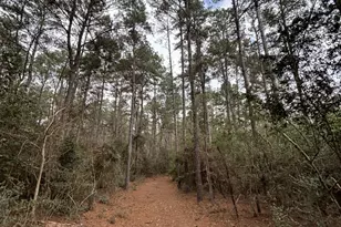 5324 Winona Ln, Navasota, TX 77868 - Photo 46
