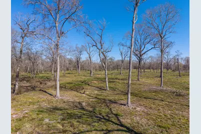 Lot 7 Johnson Drive, Livingston, TX 77351 - Photo 4
